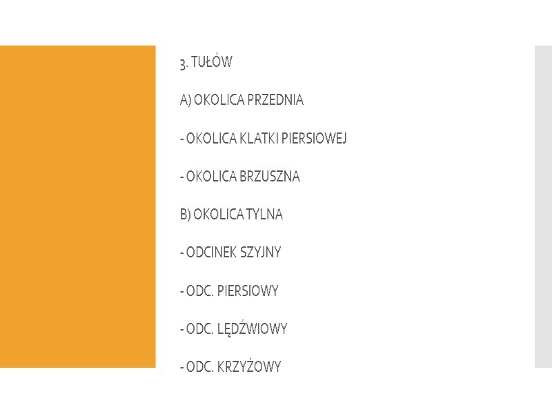 3. TUŁÓW A) OKOLICA PRZEDNIA - OKOLICA KLATKI PIERSIOWEJ - OKOLICA BRZUSZNA B) OKOLICA